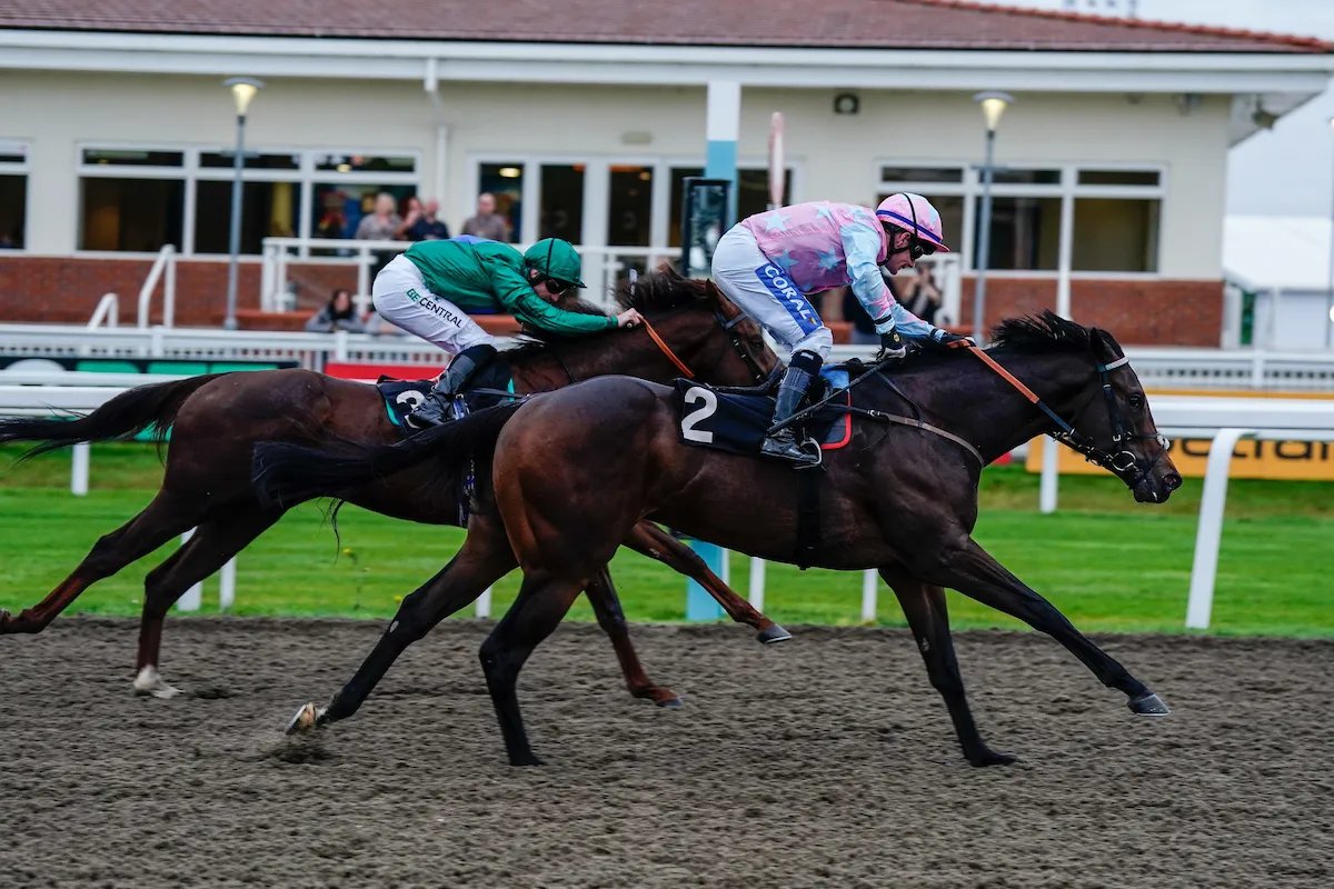 🏇 첼름스퍼드 시티 경마장 (Chelmsford City Racecourse)